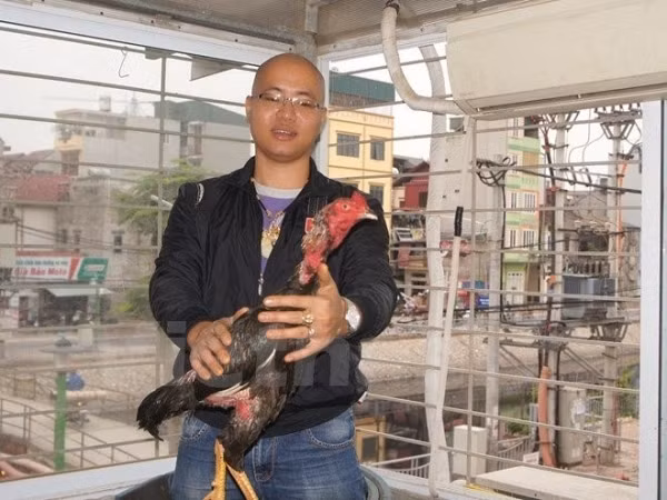 Bo chien ke tru danh dat Bac, nghe ten da hai-Hinh-4