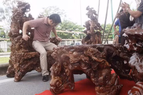 Đây là bộ bàn lũa từ gỗ gù hương của một đại gia trẻ tuổi ở Chiêm Hóa, Tuyên Quang. Gỗ gù hương – loại gỗ tinh dầu thuộc nhóm những loại gỗ quý hiếm của vùng núi đá Hà Giang, Lạng Sơn, Tuyên Quang. Ảnh: Baophapluat.