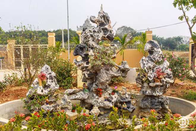 Bao quanh cả 3 khu nhà là những vạt đất được trồng cây xanh cầu kỳ. Toàn bộ cây cối trong vườn nhà đều do vợ chồng Việt Hoàn tự tay trồng và chăm sóc.