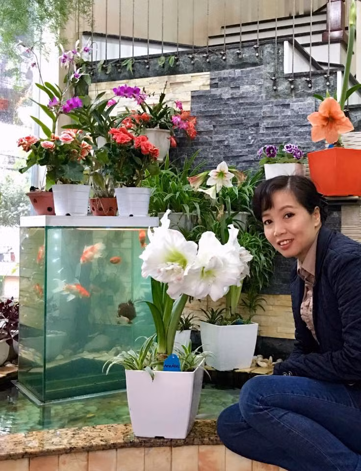 Trên trang facebook cá nhân, mẹ ca sĩ Bích Phương hài hước chia sẻ loạt hình ảnh hoa "của nhà trồng được" cực đẹp kèm dòng chú thích: "Cũng chơi ngu được hơn nửa cái list này...". Trong đó danh sách đó có tên các loài hoa lan quý như: hoàng thảo trúc mành, hoàng thảo u lồi, chuỗi ngọc, ý ngọc, trúc phật bà, ngọc thạch, long tu đá, Hài mốc rồng, kim điệp...