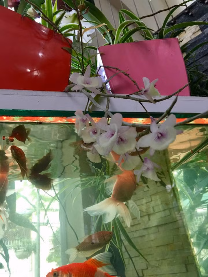 Mới đây, mẹ của ca sĩ Bích Phương thu hút sự chú ý của đồng khi chia sẻ hình ảnh "chế" con gái kèm dòng chú thích hài hước khiến người hâm mộ bất ngờ khi bà "phong" cho con gái là "ế nữ quốc dân".
