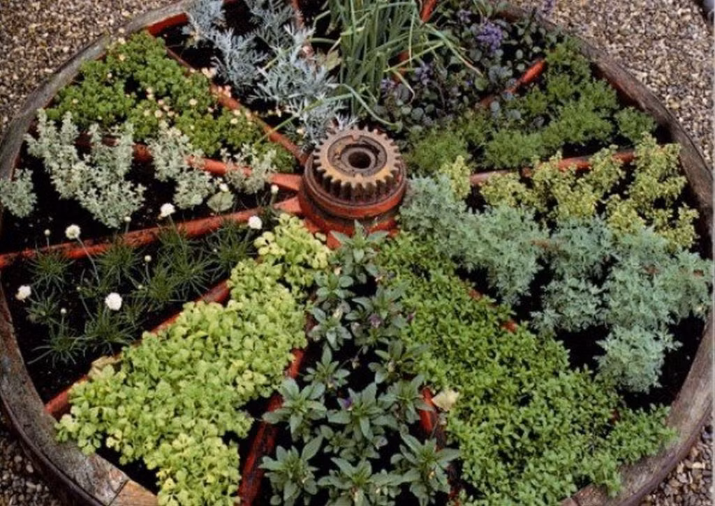 Đủ các loại rau được trồng trong bánh xe cũ. Ảnh: Garden Ideas.