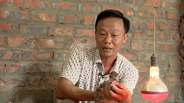 Nhung “co nang” chan dai giup ong chu kiem bon tien-Hinh-2