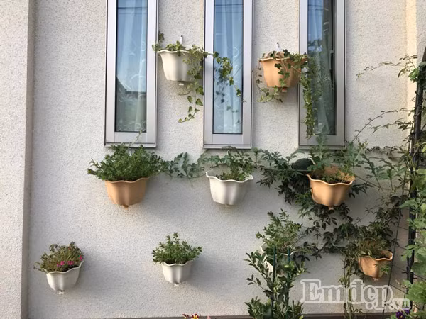 Tường nhà được chị Xuân khéo tay trang trí.