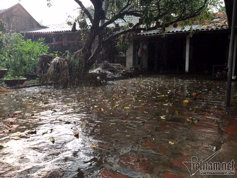 Với người dân Hà Nội, mưa đá là hiện tượng bất thường rất hiếm gặp, mưa đá thường chỉ xuất hiện trong thời điểm giao mùa.