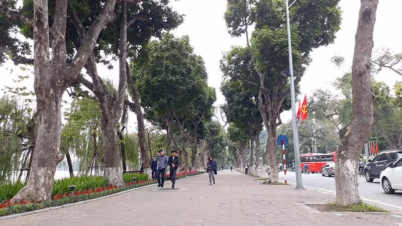 Ho Guom se co “dai lo danh vong” nhu Hollywood?