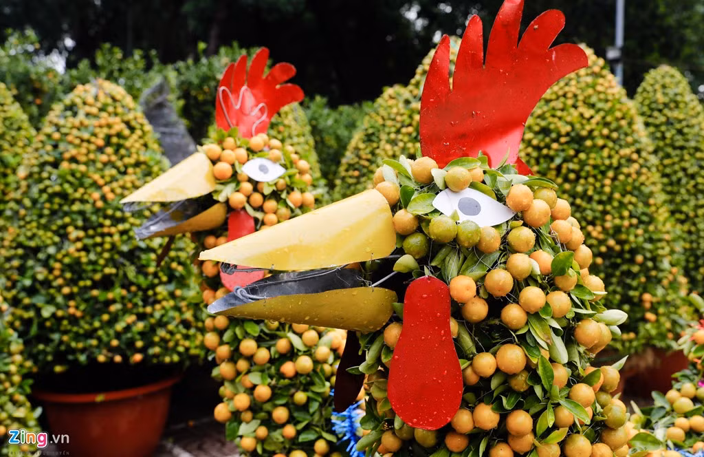 Chị Hải, nhà vườn Cái Mơn (Bến Tre), cho biết có nhiều khách hỏi loại tắc này nhưng vẫn chưa ai mua. Chị lo lắng sẽ không bán được và lỗ vốn vì đầu tư công phu.