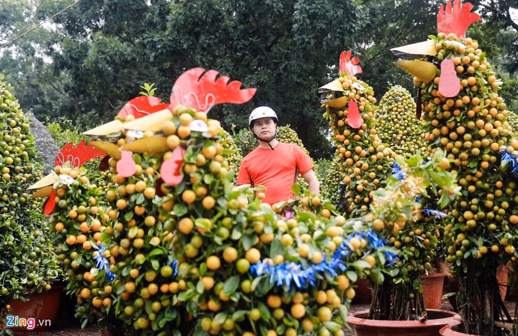 Giá một cặp gà lớn là 4 triệu đồng, cặp nhỏ là 2 triệu đồng.