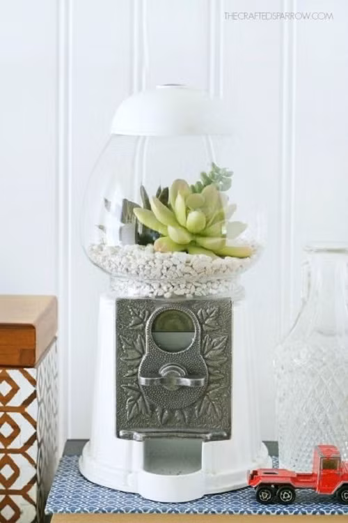 Chiếc hộp kẹo bỏ đi đã tỏa sáng bất ngờ nhờ kết hợp với những bông hoa đá xinh xắn và những viên sỏi trắng đáng yêu.