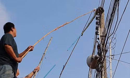Trăn 3m cố thủ trên cột điện, “đấu” với người suốt 2 giờ - Hình 3 Tran 3m co thu tren cot dien, “dau” voi nguoi suot 2 gio-Hinh-3
