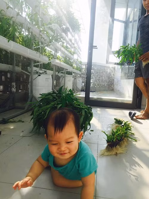 Cậu út Mio nhà Lý Hải - Minh Hà được mẹ giao nhiệm vụ ngồi "canh rau" không cho sâu tha đi mất.