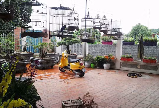 Như kiến tha mồi về tổ, dần dần đến nay sau 3 năm xây dựng, khu vườn của chị từ những góc cỏ mọc um tùm, giờ đây đã được phủ kín bằng những chậu cây, giỏ hoa đẹp rực rỡ. Vườn hiện có khoảng 200 chậu và giỏ hoa với đa dạng các loại hoa như hoa lan, hồng, nguyệt quế, hoa nhài nhật, sử quân tử, mẫu đơn, râm bụt, hoa sen, hoa súng,….