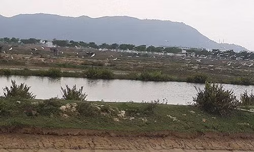 Can canh “sieu du an” Golden Hills no khung 244 ty dong