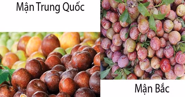 Man hau loan gia, hang Trung Quoc doi lot Viet Nam-Hinh-5