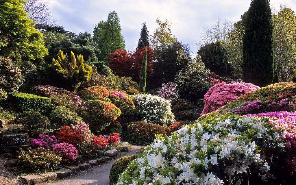 Leonardslee Gardens ở Wes Sussex (Anh quốc) là một khu vườn rộng gần 1 km2. Được xây dựng vào năm 1889, khu vườn không chỉ nổi tiếng với cây cảnh, cây bụi mà còn được biết tới những cây đỗ quyên. Ảnh: Flickr.