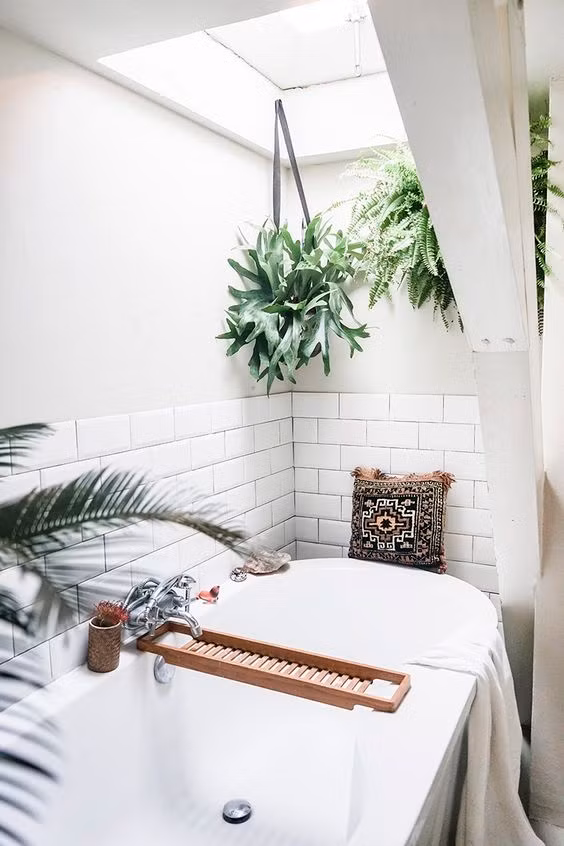 Tuy nhiên, ánh sáng cũng là một yếu tố quan trọng quyết định sự phát triển bình thường của cây. Bạn nên chọn những loại cây không ưa sáng để trồng trong phòng tắm như tre, lô hội, hoa lan, dương xỉ, dây nhện. Đối với các phòng tắm có cửa sổ lớn và ánh nắng mặt trời, hãy thử các cây trồng như hoa phong lan, hoa dành dành, hoa đỗ quyên…