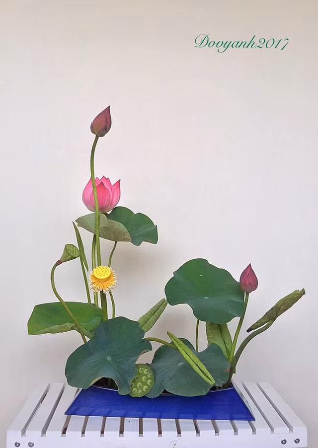 Anh Vy Anh tâm sự, cắm hoa sen luôn luôn là một trong những thử thách lớn và khó khăn khi phải tìm được đầy đủ các thành phần, đưa được vẻ đẹp tự nhiên nhất có thể như ngoài thiên nhiên.