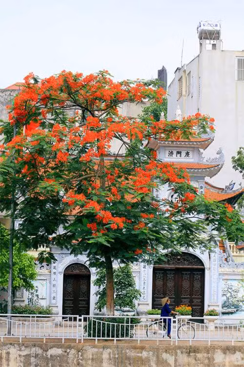 Màu đỏ trên nền trời tạo khung cảnh vô cùng khác lạ. Ảnh: Tindachieu.