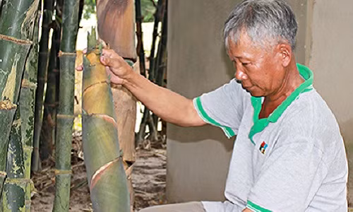 Chi trong 3 sao tre Tu Quy, moi thang loi hon 10 trieu