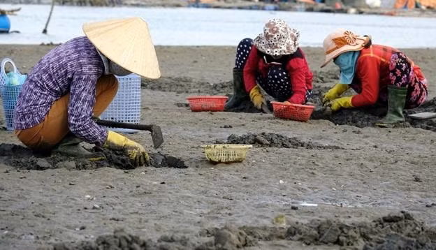 Ngư dân tất bật mang đồ nghề ra biển miệt mài đãi cát để mưu sinh. Ảnh: Quangngai.