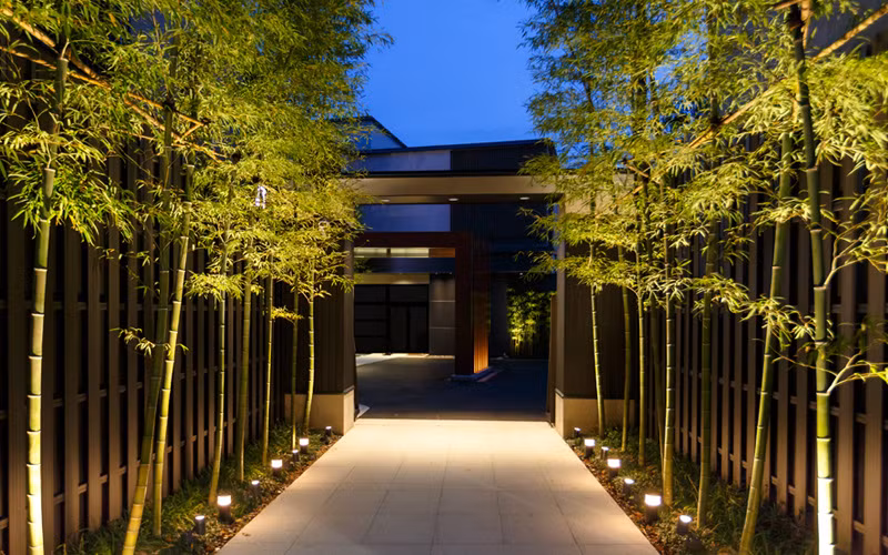 Cây tre mang đến cảm giác dễ chịu bởi không gian xanh trong lành. Ảnh: Gardenloversclub.