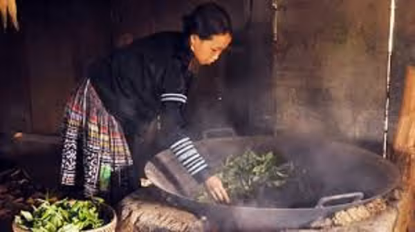 Gọi "cực đẹp" bởi là hệ quả của một quá trình từ thu hái, chọn lựa, sao chế. Chúng được sao bằng loại than đặc biệt - than củi gỗ sến. Chỉ với loại than này nhiệt lượng cung cấp cho quá trình sao chế đạt tới độ cần thiết để chè dậy hương. Ảnh: Vietcotra.