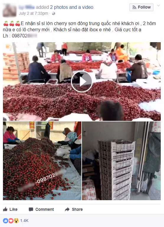 Cherry Trung Quoc gia beo tran ngap cho mang