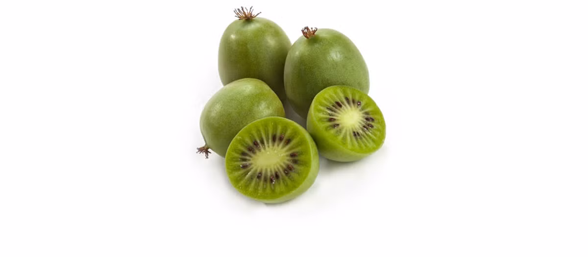 Bên cạnh làm trái cây ăn trực tiếp, kiwi tí hon còn dùng để làm mứt, sinh tố, bánh...Ảnh: Supergolden Bakes.