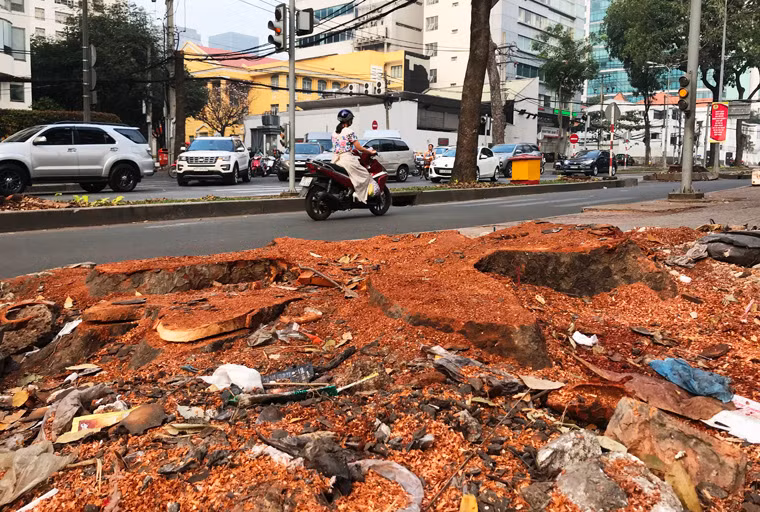 Trên vỉa hè vẫn còn ngổn ngang những gốc cây có đường kính 2 người ôm không xuể.