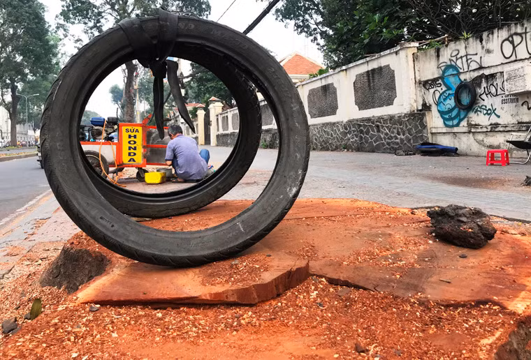 Những người gắn bó mưu sinh bao đời trên tuyến đường Tôn Đức Thắng không khỏi luyến tiếc hàng cây cổ thụ tạo bóng mát.