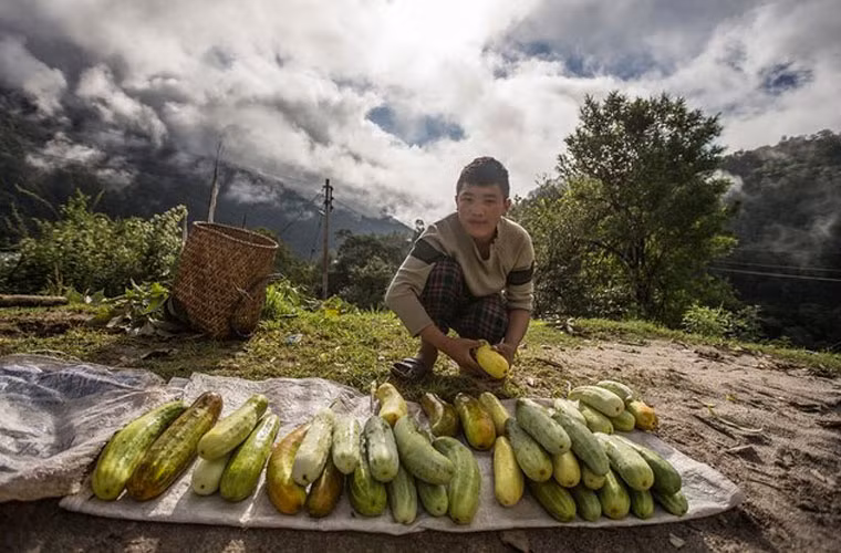 Các khu chợ của nông dân phần nào khuyến khích người trẻ tuổi Bhutan trồng rau củ và bán sản phẩm của họ ở thành phố.