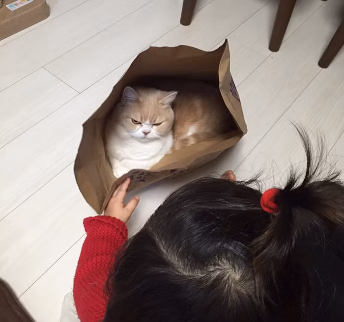 Khuôn mặt cau có của Koyuki không hề khiến mọi người chán ghét mà trái lại càng yêu thương cô nàng hơn.