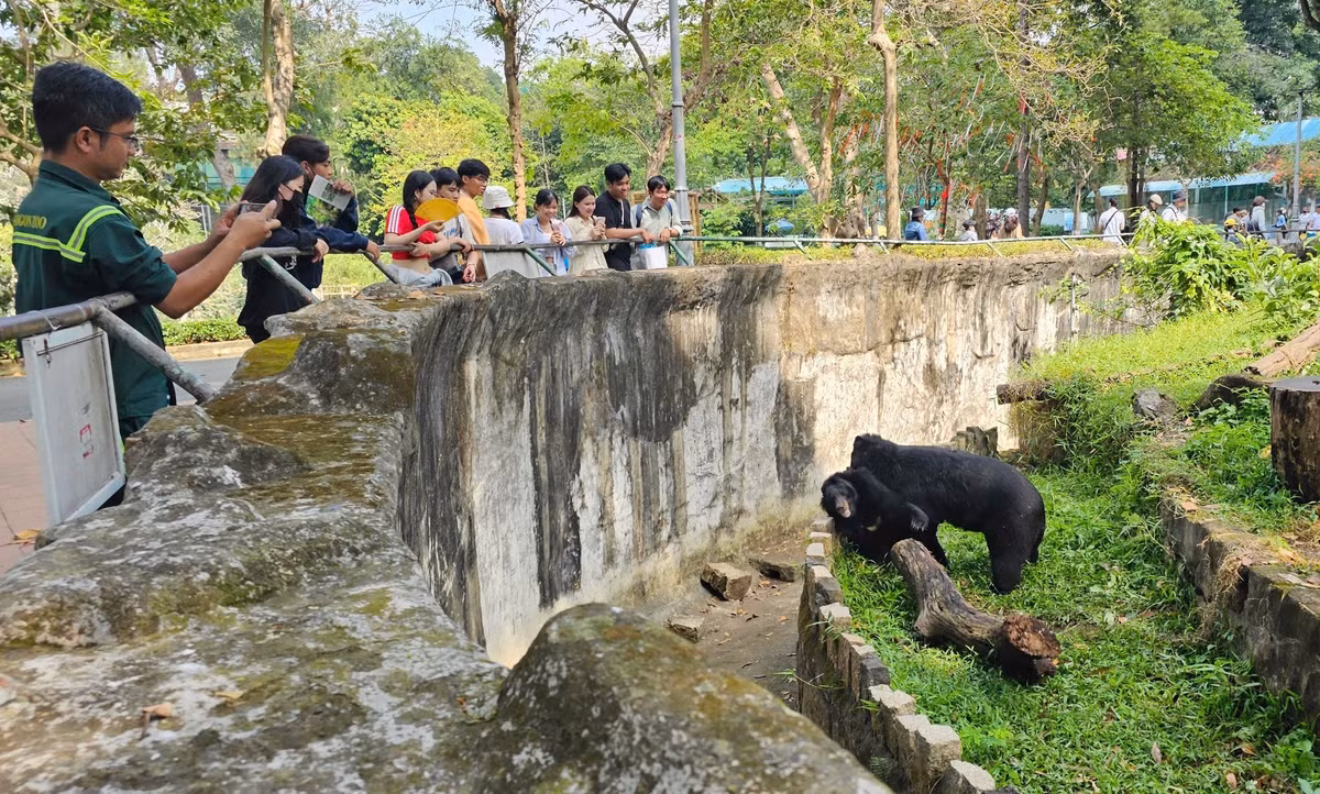 Gấu ngựa là giống gấu thường hoạt động về đêm, ban ngày nằm nghỉ ngơi. Tuy nhiên vào ban ngày khi khách đến tham quan, cặp đôi gấu này vẫn không ngại đến sát phần hàng rào để ôm ấp, hôn hít lẫn nhau...