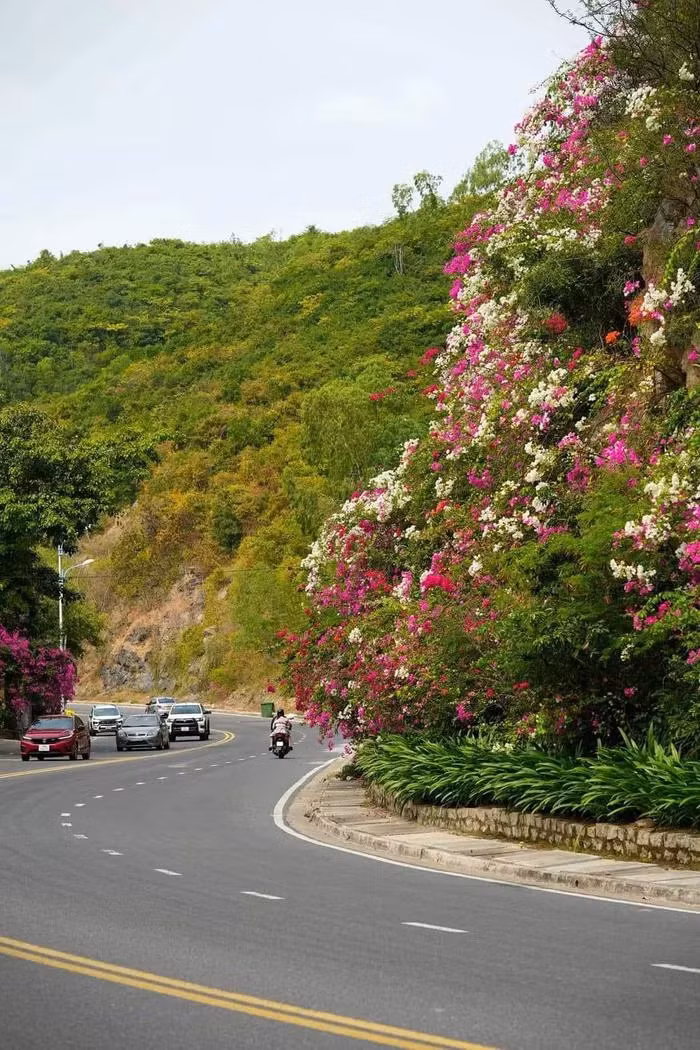 Dep ngan ngo sac hoa giay tren cung duong deo Luong Son Nha Trang