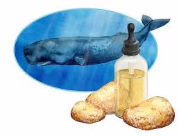 Long diên hương, hay còn được biết đến với tên gọi khác như nước bọt rồng, là một trong những chất tự nhiên hiếm có giá trị cao nhất trên thế giới. Báu vật này được tạo ra trong hệ tiêu hoá của cá nhà táng và đã từ lâu được biết đến với giá trị vô cùng đắt đỏ, lên tới 370 triệu đồng/kg.