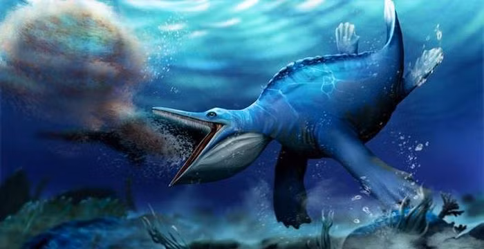 1. Quái vật ra đời từ cõi chết: Hupehsuchus nanchangensis, một loài bò sát biển, được phát hiện ở Trung Quốc sau thảm kịch tuyệt chủng Nhị Điệp - Tam Điệp.