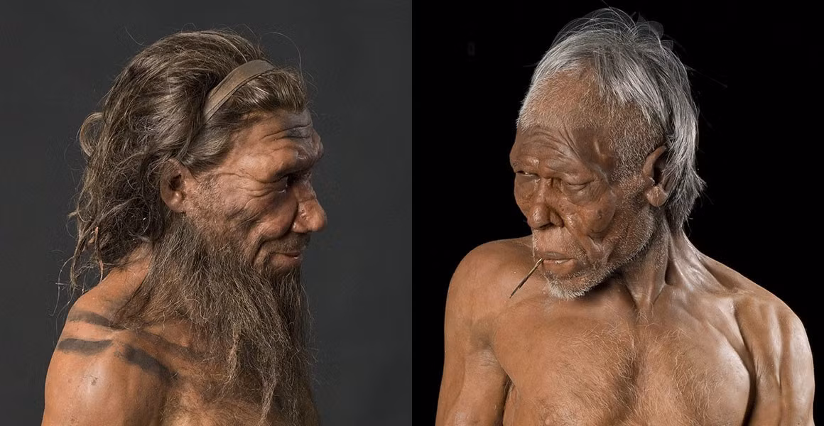 Nền văn hóa của họ cho thấy sự giao lưu mật thiết giữa Homo sapiens và Neanderthals, với việc sử dụng công cụ và chiến lược sinh tồn chống lại thời tiết khắc nghiệt.