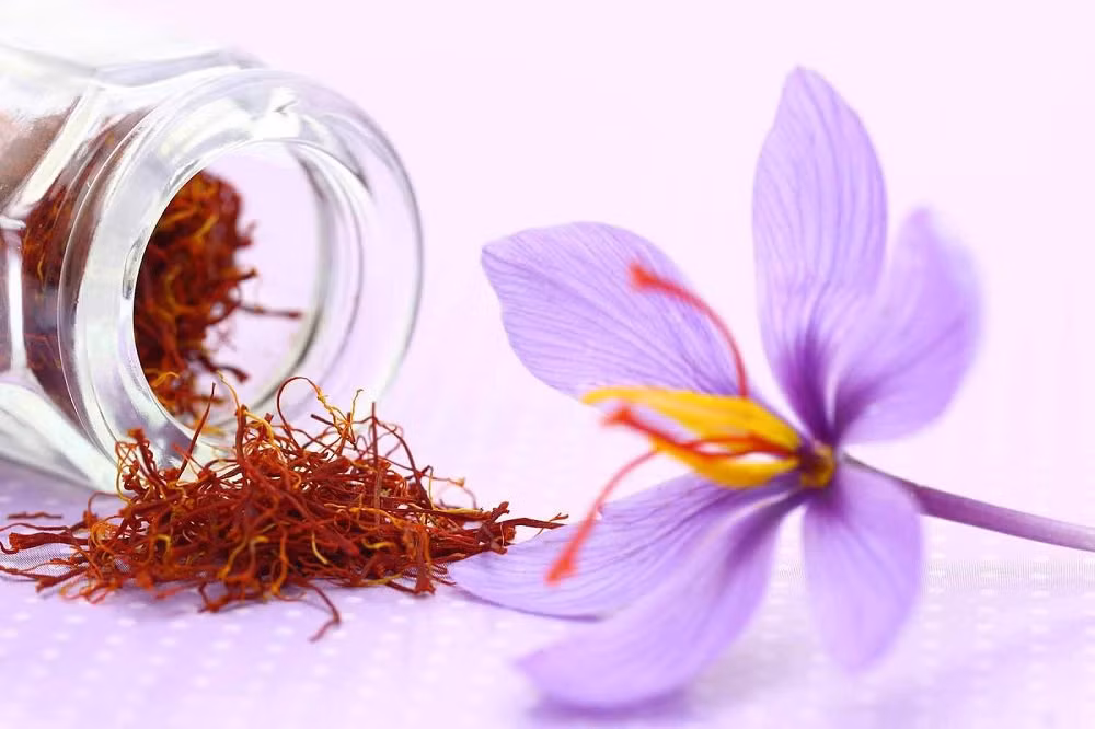 6. Hoa nghệ tây: Bán với giá từ 27-34 triệu đồng/bông, vì thứ bột chứa trong nhụy hoa được sử dụng như một gia vị quý hiếm.