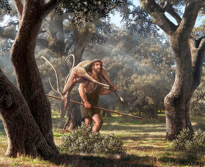 Người Neanderthal sử dụng những công cụ bằng đá để chạm khắc, đánh bóng khúc xương, tạo thành các rãnh song song mờ nhạt. Sự đổi màu của hiện vật này cho thấy đầu mũi giáo được làm cứng bằng lửa. Ảnh: sciencephoto.