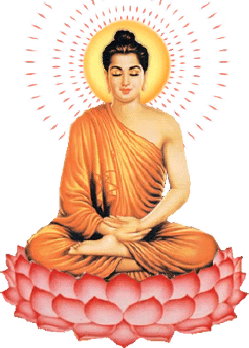 Đó là hòa thượng Thích Thông Lạc. Anh đã hỏi thầy rất nhiều câu hỏi: Đức Phật Thích Ca là ai? Ngài có phải là vị thần linh có muôn vàn phép thuật? Làm thế nào để diệt trừ được tham, sân, si? Hòa Thượng Thích Thông Lạc, đã giải đáp từng câu hỏi của anh. Nhờ đó, anh hiểu, Đức Phật không phải là đấng thần linh tối thượng có phép thuật muôn màu có thể ban phúc, giáng họa. Ngài là một người bình thường như chúng ta nhưng nhờ công phu tu tập mà ngài có trí tuệ và lòng từ bi lớn. Vì thế, ngài có rất ít khổ đau. 