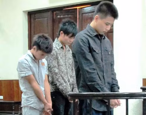 Tháng 9/2011, TAND TP Hà Nội đã mở phiên tòa xét xử bị cáo Lưu Công Hoàng. Xét hành vi phạm tội của bị cáo là đặc biệt nghiêm trọng, HĐXX đã tuyên phạt Lưu Công Hoàng tử hình về tội giết người và 3 năm tù về tội cướp tài sản (tổng hình phạt là tử hình). Vụ án là bài học cho những thanh niên có lối sống buông thả, vì tiền mà giết người sẽ phải trả giá bằng chính mạng sống của mình.