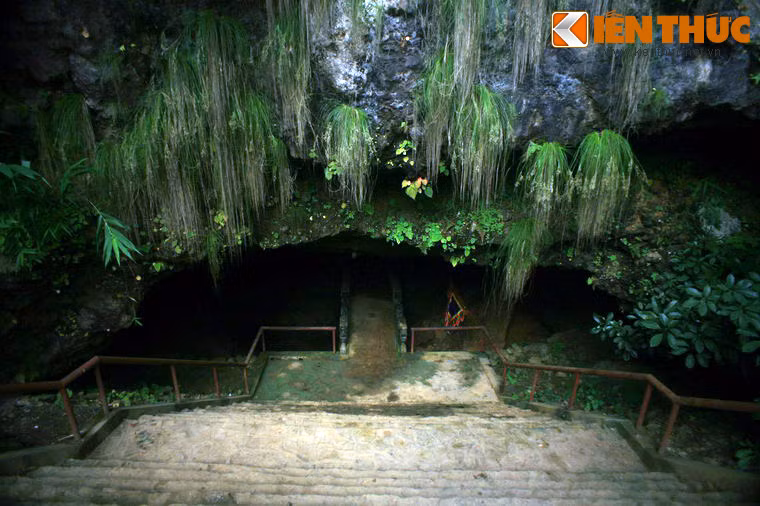 4. Nằm kề quốc lộ 4D, thuộc địa phận xã Bình Lư, huyện Tam Đường, tỉnh Lai Châu, Động Tiên Sơn (còn gọi là động Đán Đón, Pờ Ngài Tủng, động Đá Trắng, động Bình Lư) là hang động đẹp nổi tiếng ở Tây Bắc còn giữ được vẻ hoang sơ.