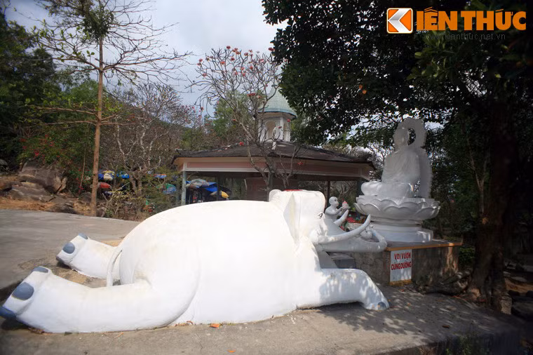 Quần thể tượng voi, khỉ dâng hoa quả cho Đức Phật.