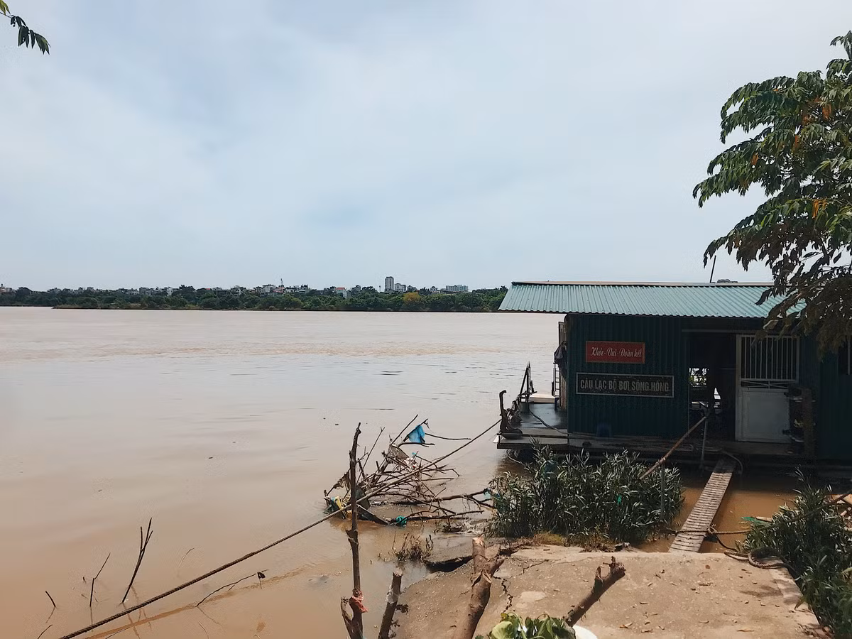 Bãi giữa sông Hồng dần trở lại cuộc sống thường nhật sau ngập lụt - Hình 2 Bai giua song Hong dan tro lai cuoc song thuong nhat sau ngap lut-Hinh-2