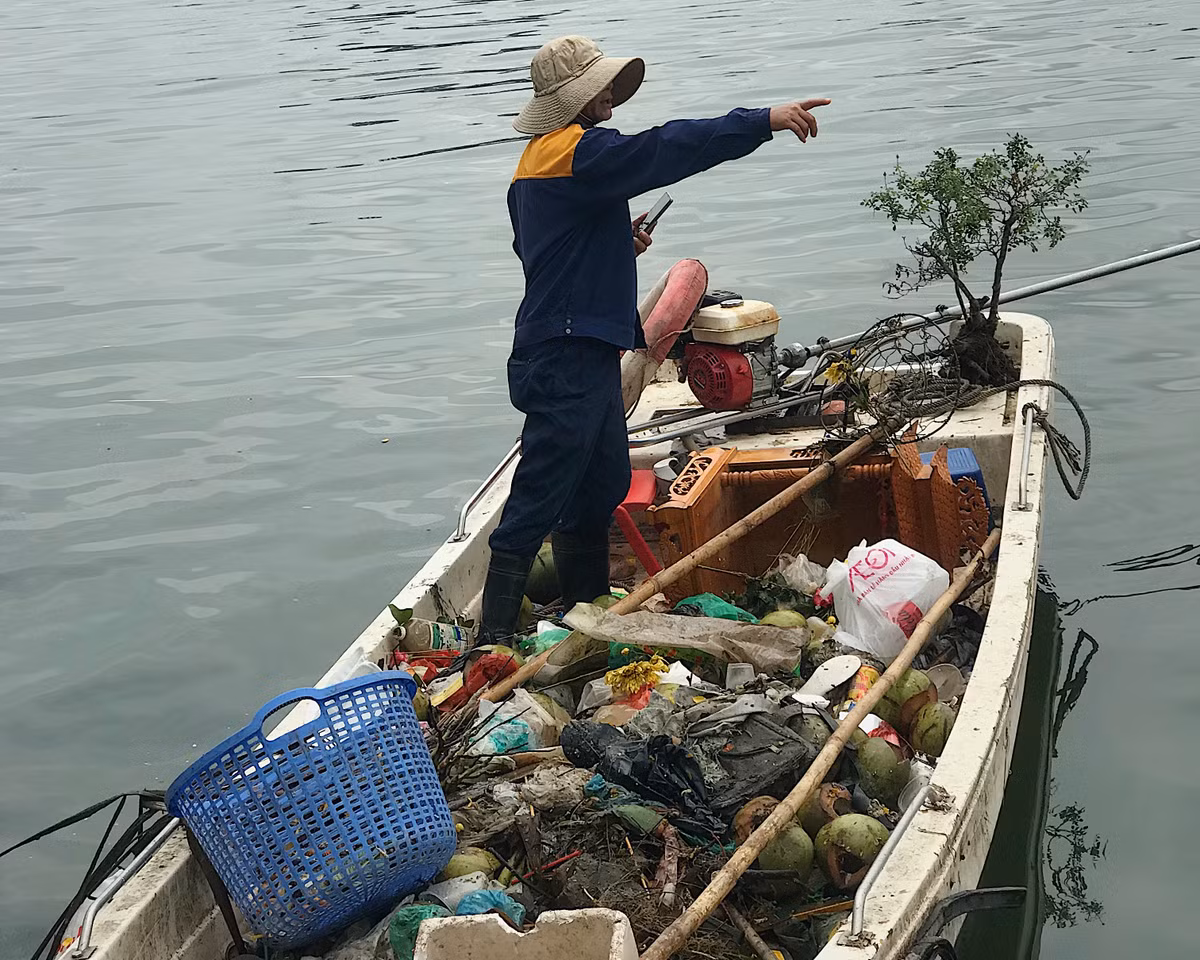 Những trái dừa sau khi người dân bán cho du khách cũng bị thẳng tay ném xuống hồ.