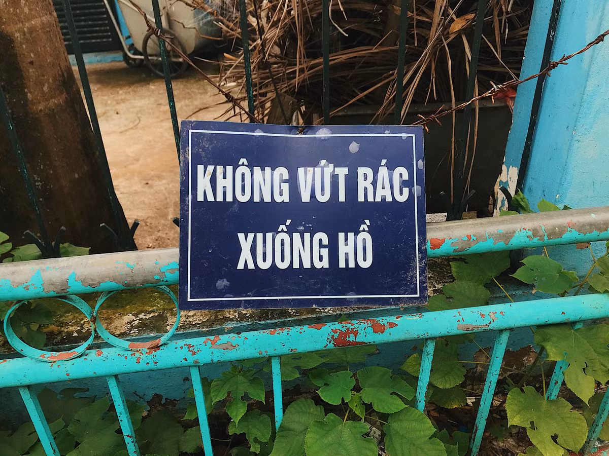 Nguoi Ha Noi xa rac xuong Ho Tay, chieu lai thi nhau tam mat-Hinh-2