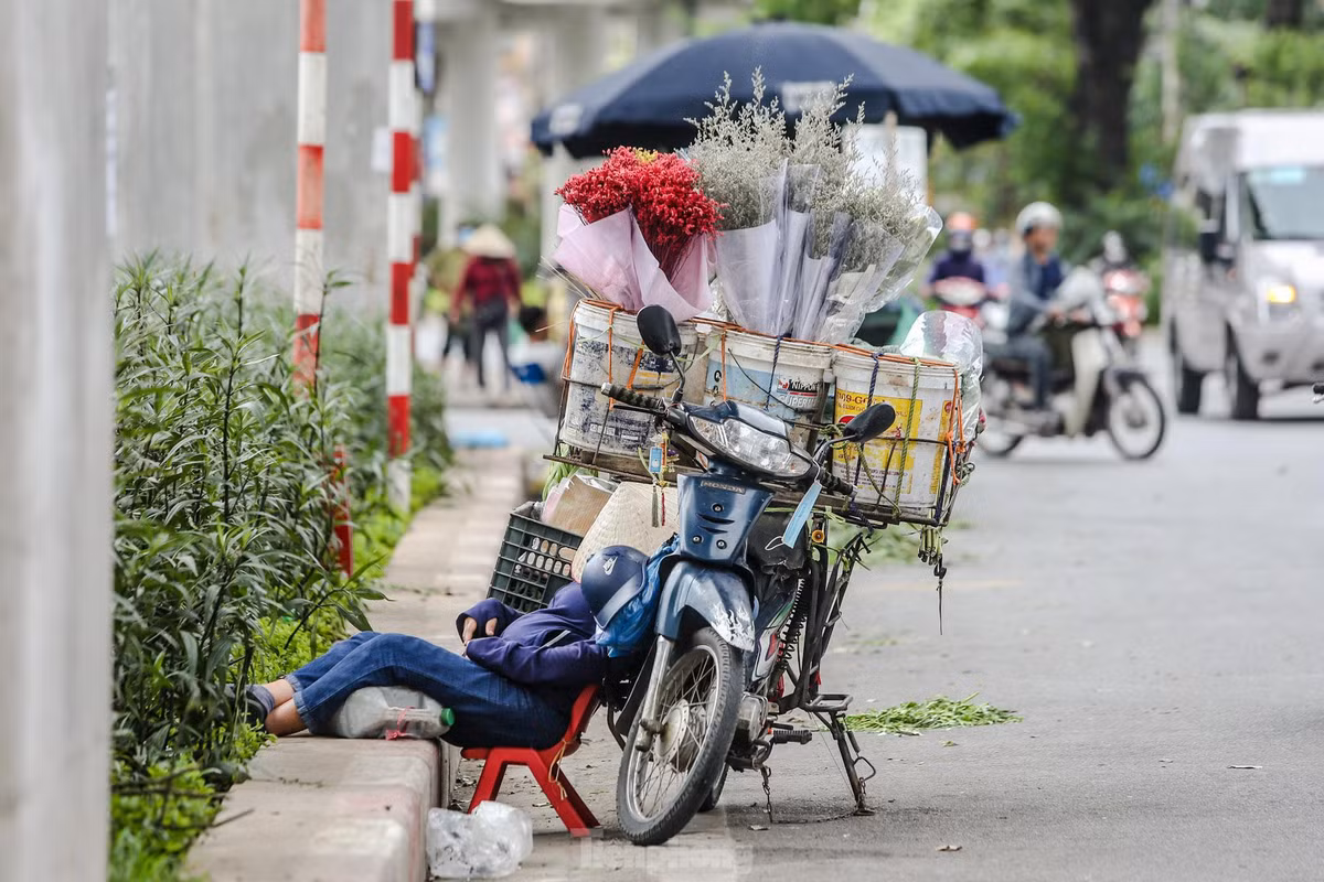 Người lao động ngủ gục bên đường.