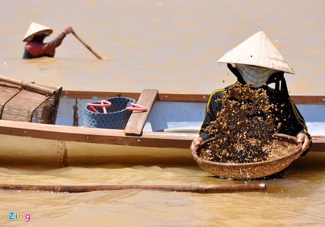 Tùy theo mùa, trung bình mỗi ngày người dân nơi đây thu từ 10 đến 20 kg don, hến (giá bán tại bến khoảng 30.000 đồng/kg), trừ chi phí thu nhập cũng được vài trăm nghìn đồng. Riêng dịp Tết Nguyên đán mỗi ngày thu nhập hơn 1 triệu đồng nhờ bán được giá cao.