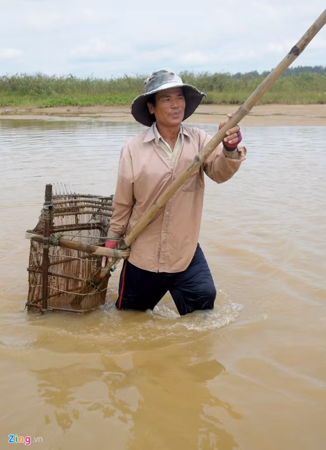 Bà Hai mô tả, hến và don lớn hơn đầu que đũa nhưng hến thì có hình rẽ quạt, còn don giống hình hột xoài. Don có giá hơn hến vì nó nổi tiếng là loài thủy sản sạch nhất dòng sông Trà. Don thuộc họ nhuyễn thể hai mảnh, vỏ nửa đen nửa vàng nhạt, hình quả trám, to bằng đầu đũa. Loại này vỏ thường mỏng hơn các loài ốc, hai mảnh vỏ chụm vào nhau, vỏ phía trên mỏng hơn phần dưới bụng. Sau khi cào, nhủi, người dân đổ don, hến vào rổ sàng lọc bùn, cát, sạn ngay trên sông.