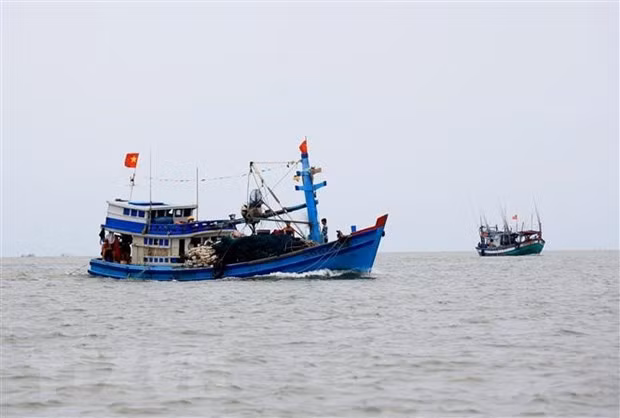 Tim kiem ngu dan mat tich tren bien Binh Thuan